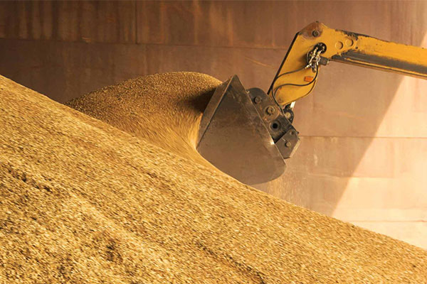 cereales collecte durabilite culture traçabilite